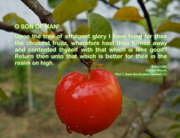 studio1world bahai inspired art - The choicest fruits ...